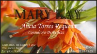 /album/fotogaleria/grafico2-jpg/