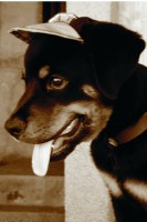 /album/fotogaleria/a88888-jpg/
