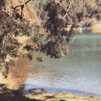 /album/fotogaleria/img-4610-jpg/