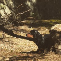 /album/fotogaleria/img-4611-jpg/